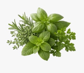 Premium Herbs