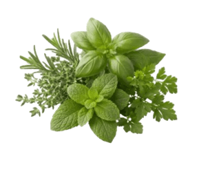 Premium Herbs