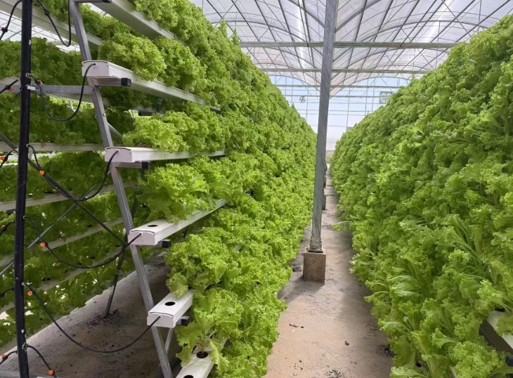 Smart Vertical Farming Technology Project